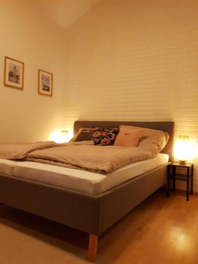 Sweet flat in the center of vienna